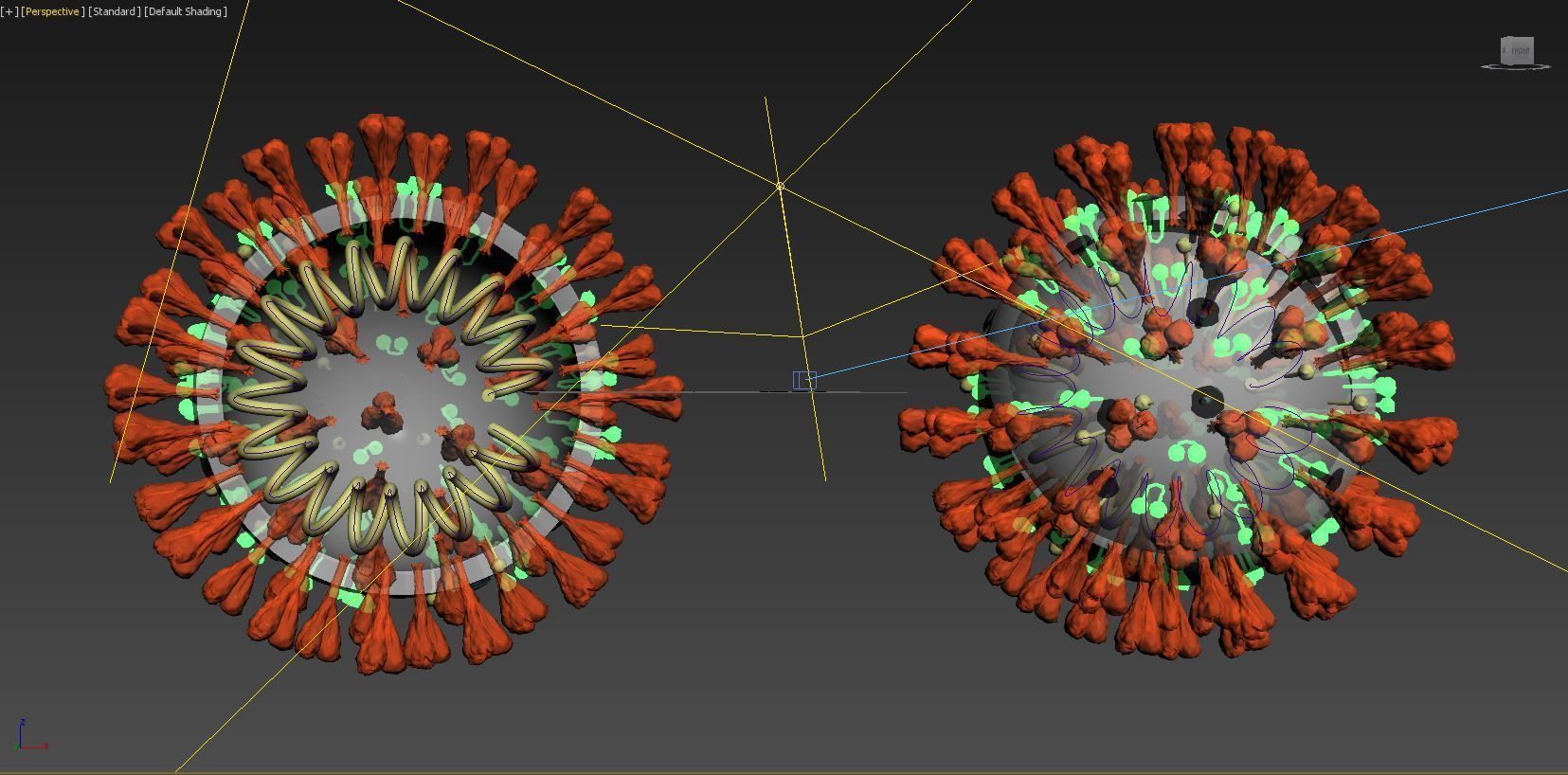 covid-19 two coronaviruses 3D model_5