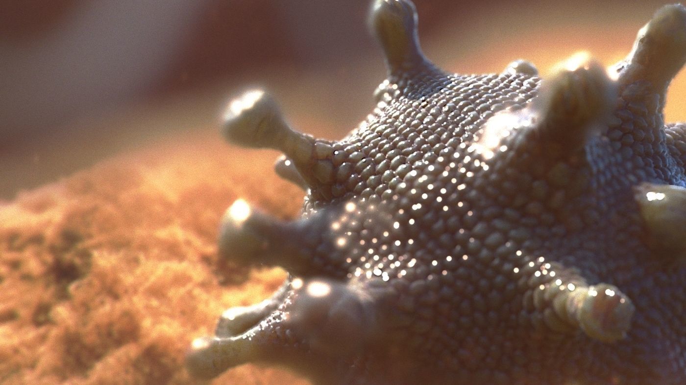 coronavirus Low-poly 3D model_3