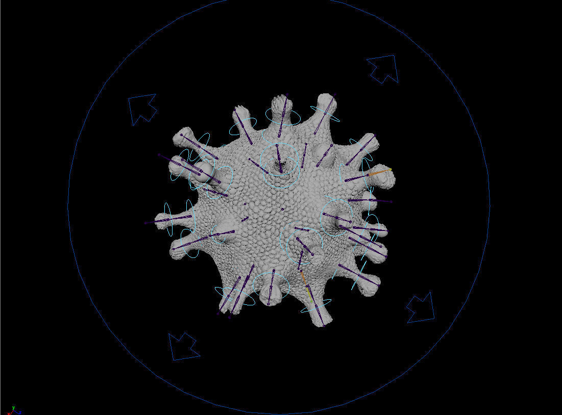 coronavirus Low-poly 3D model_4