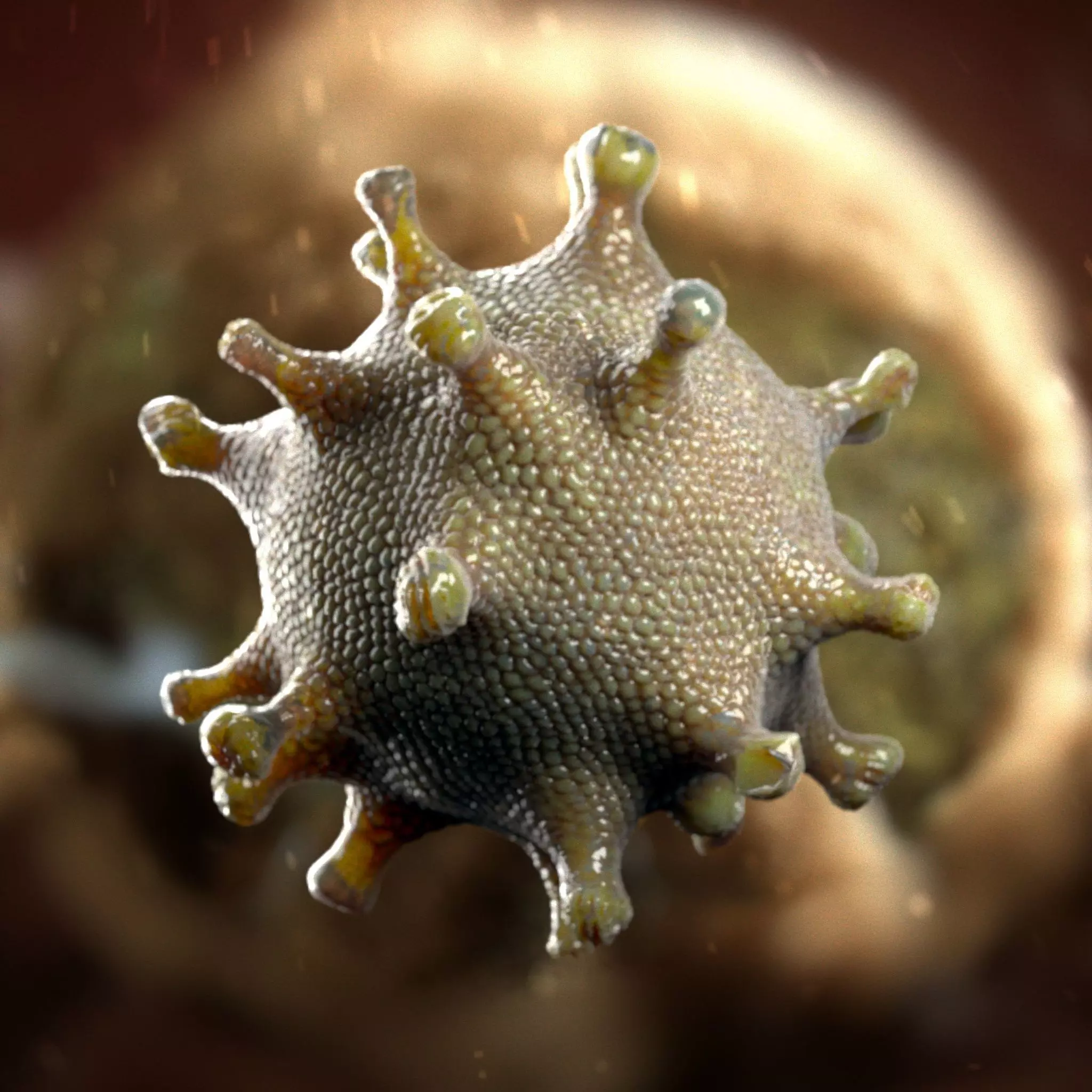 coronavirus Low-poly 3D model_0