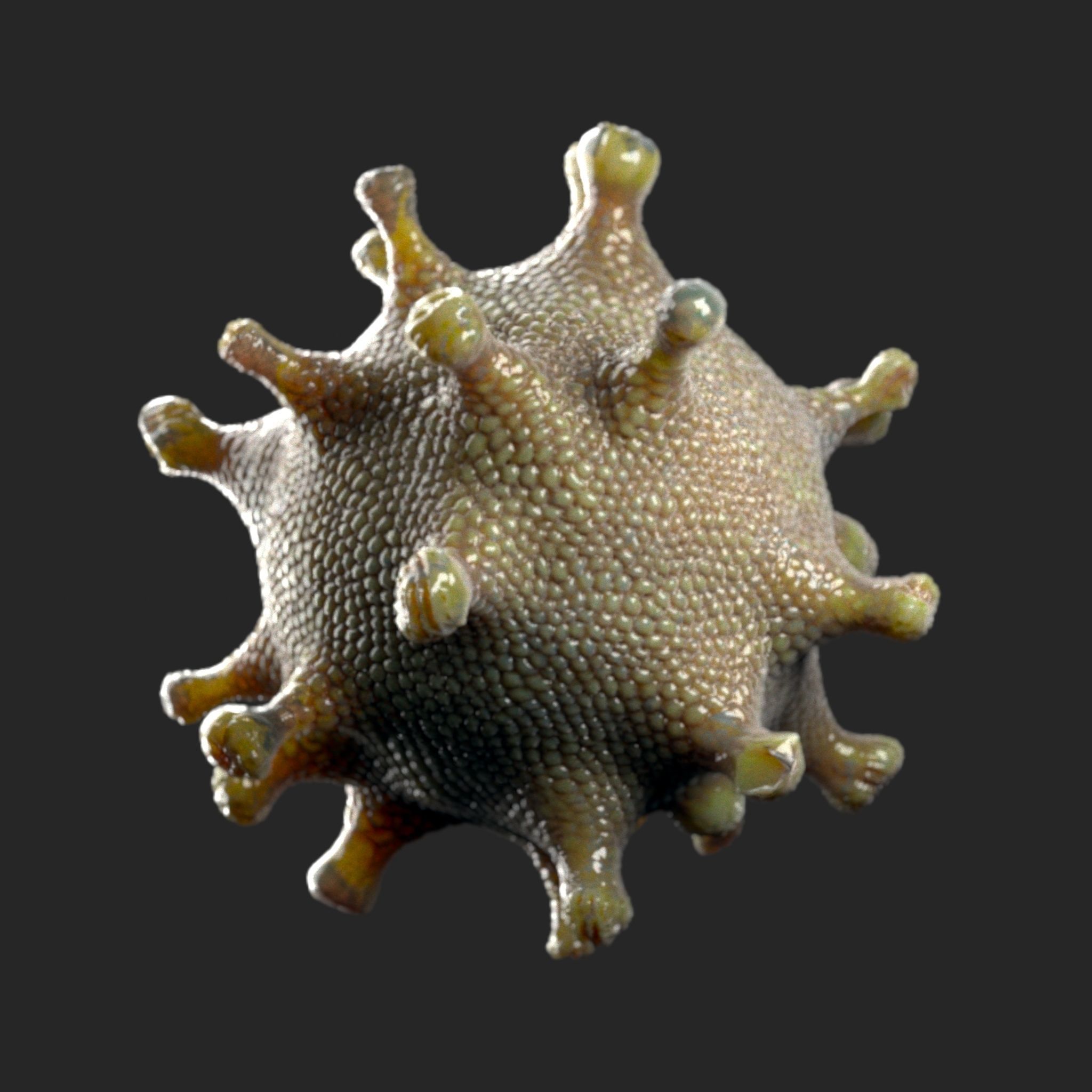 coronavirus Low-poly 3D model_1