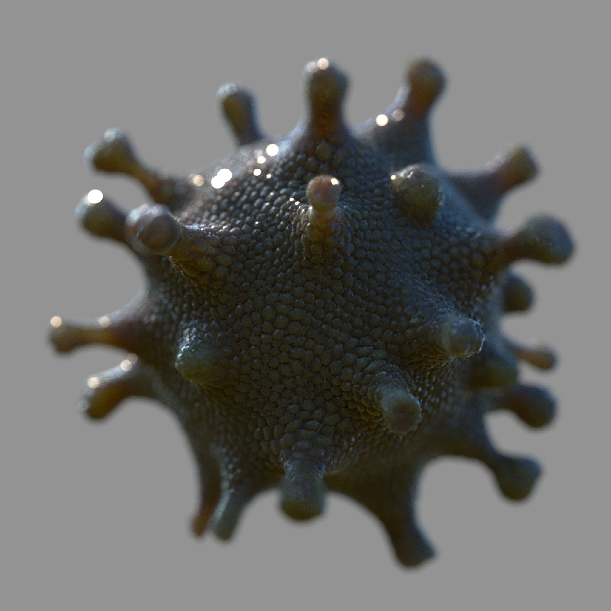 coronavirus Low-poly 3D model_2