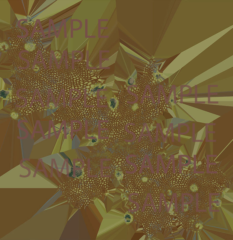 coronavirus Low-poly 3D model_9