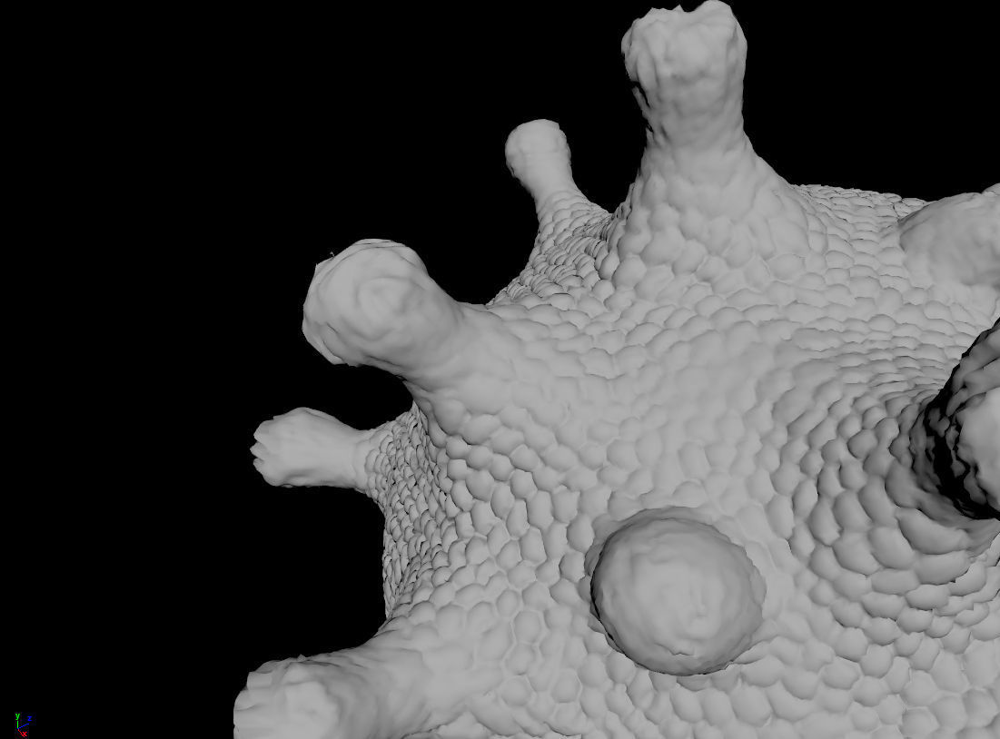 coronavirus Low-poly 3D model_8