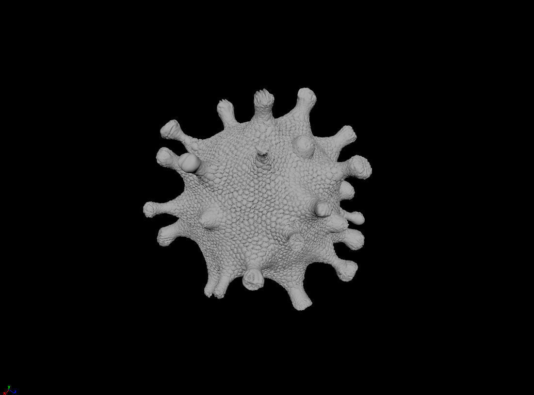 coronavirus Low-poly 3D model_5