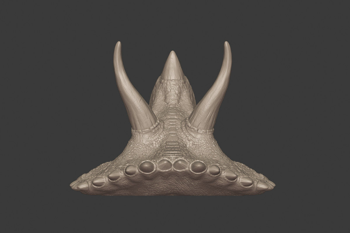 Triceratops Head 3D print model_4