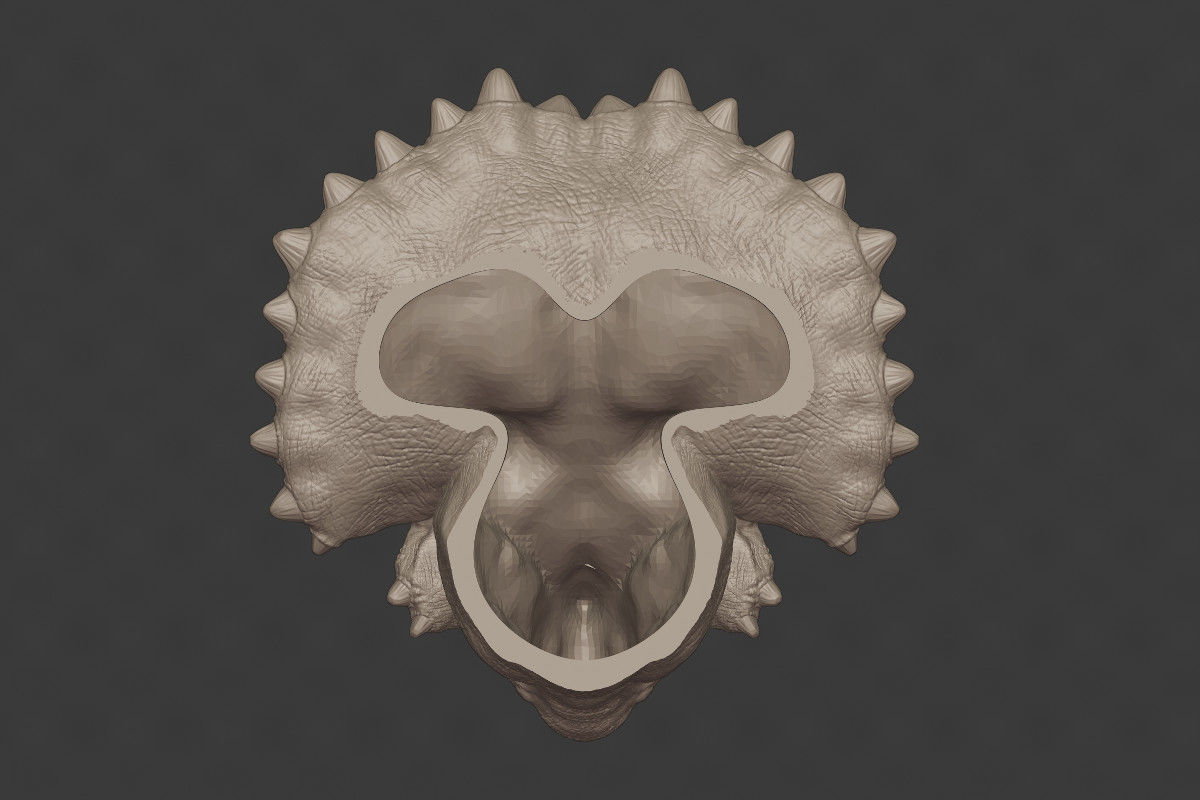 Triceratops Head 3D print model_5