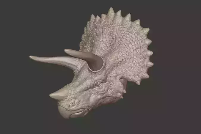 Triceratops Head