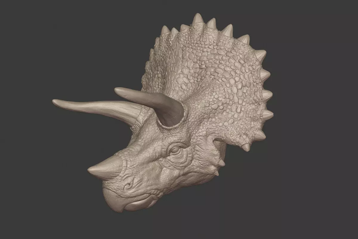 Triceratops Head 3D print model_0