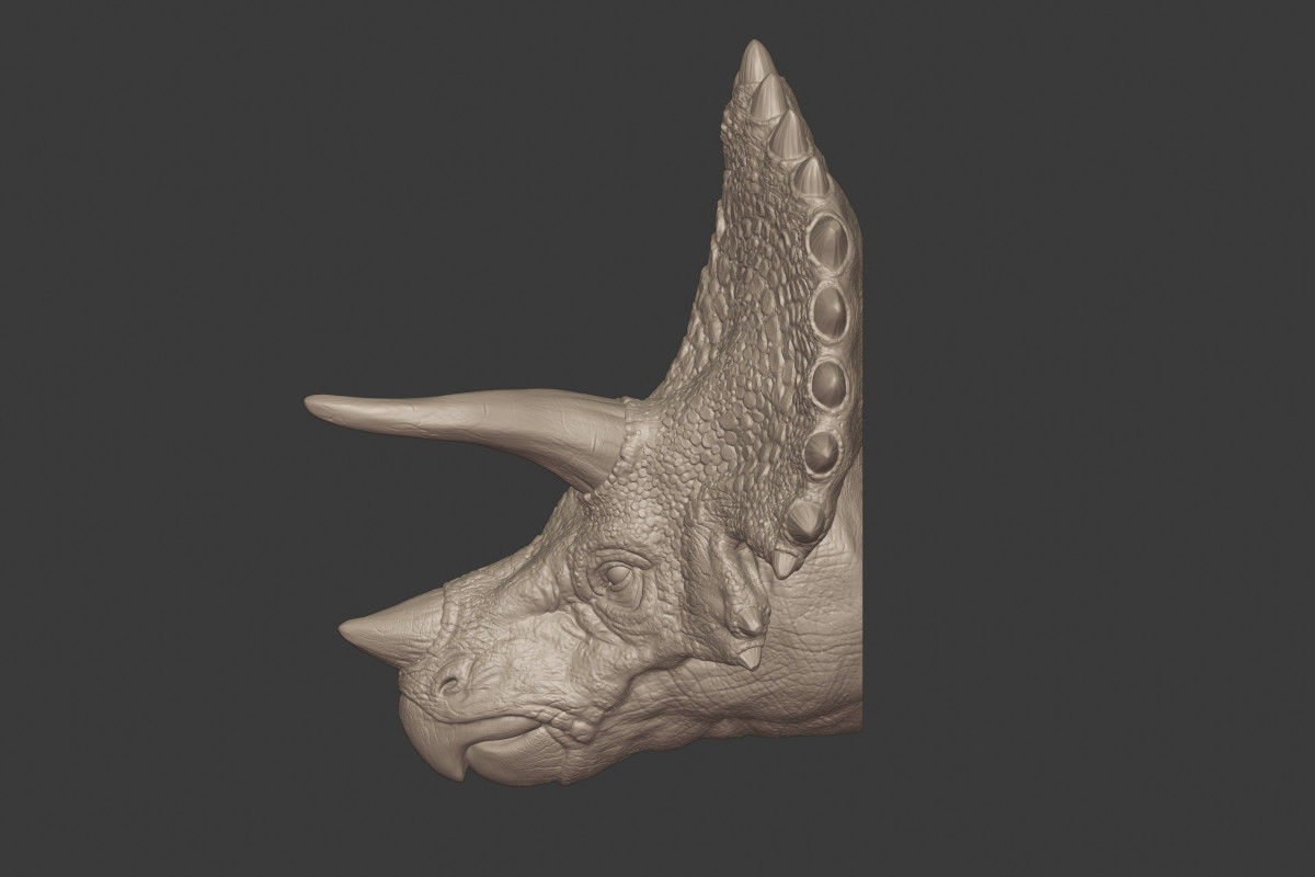 Triceratops Head 3D print model_3