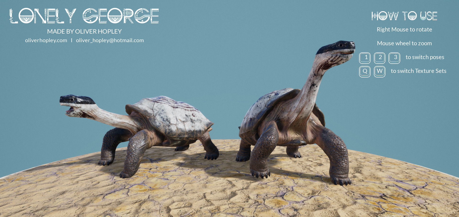 Lonely George the Galapagos Tortoise Low-poly 3D model_3