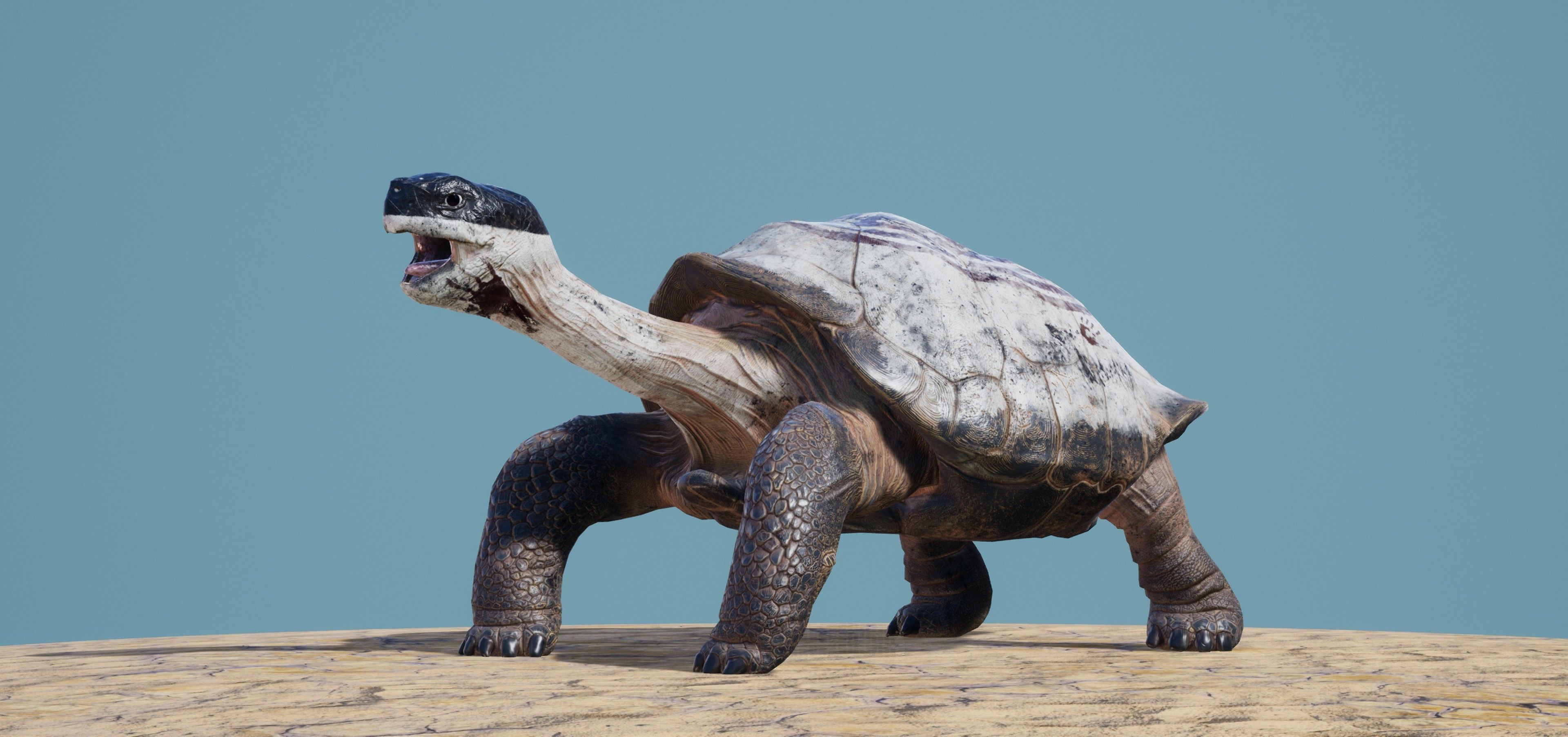 Lonely George the Galapagos Tortoise Low-poly 3D model_2