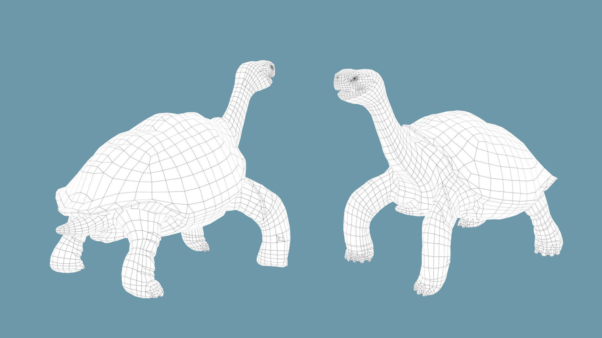 Lonely George the Galapagos Tortoise Low-poly 3D model_4
