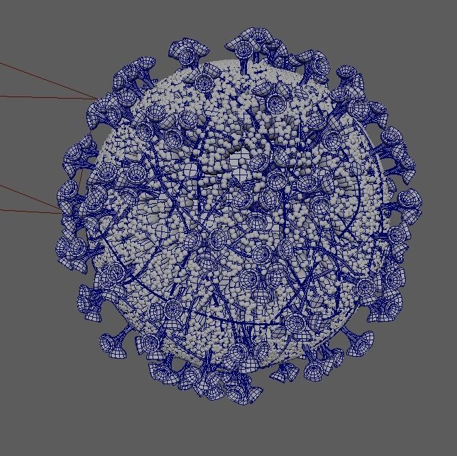 Corona virus 3d model Realistic Model Low-poly 3D model 3D model_4