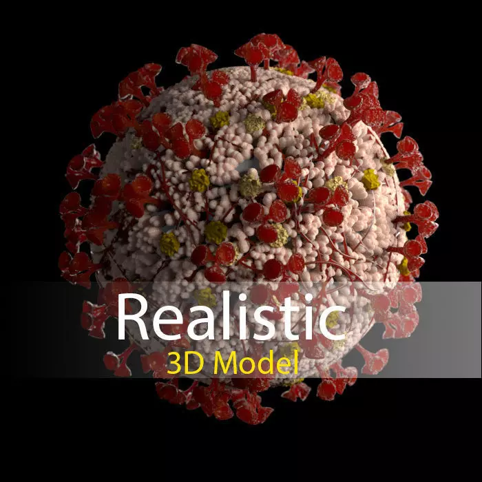Corona virus 3d model Realistic Model Low-poly 3D model 3D model_0