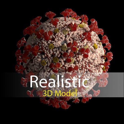 Corona virus 3d model Realistic Model Low-poly 3D model 3D model