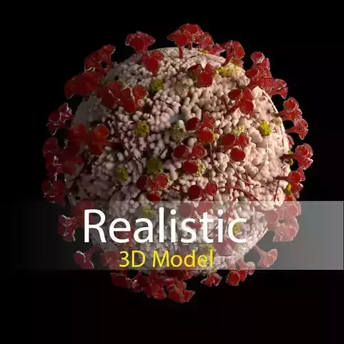 Corona virus 3d model Realistic Model Low-poly 3D model 3D model
