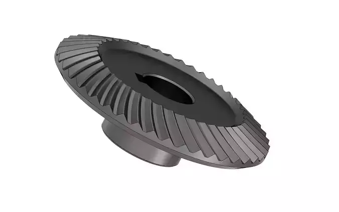 Spiral bevel gear 3D model