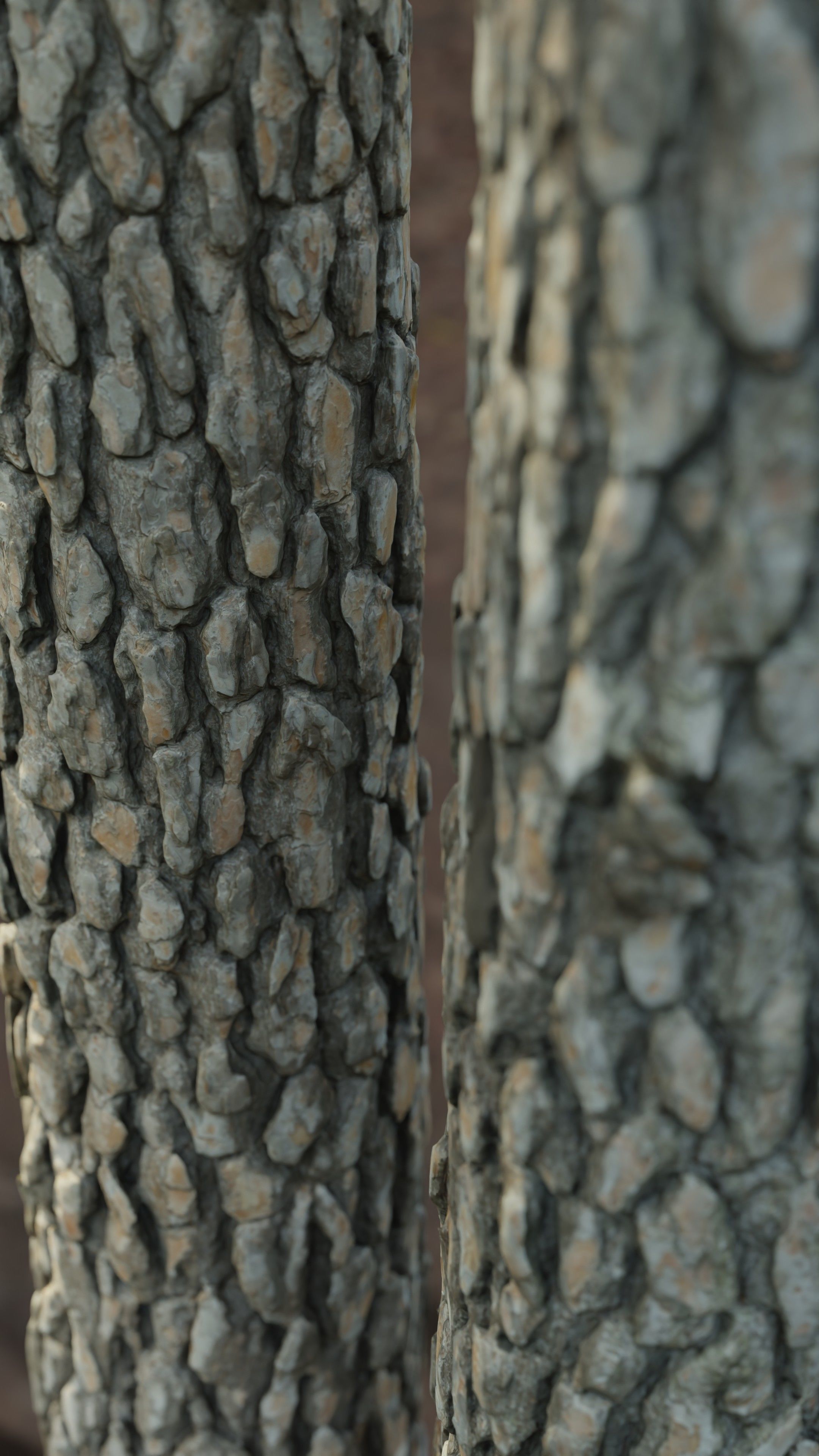 Pine Tree Trunk Low-poly 3D model_8