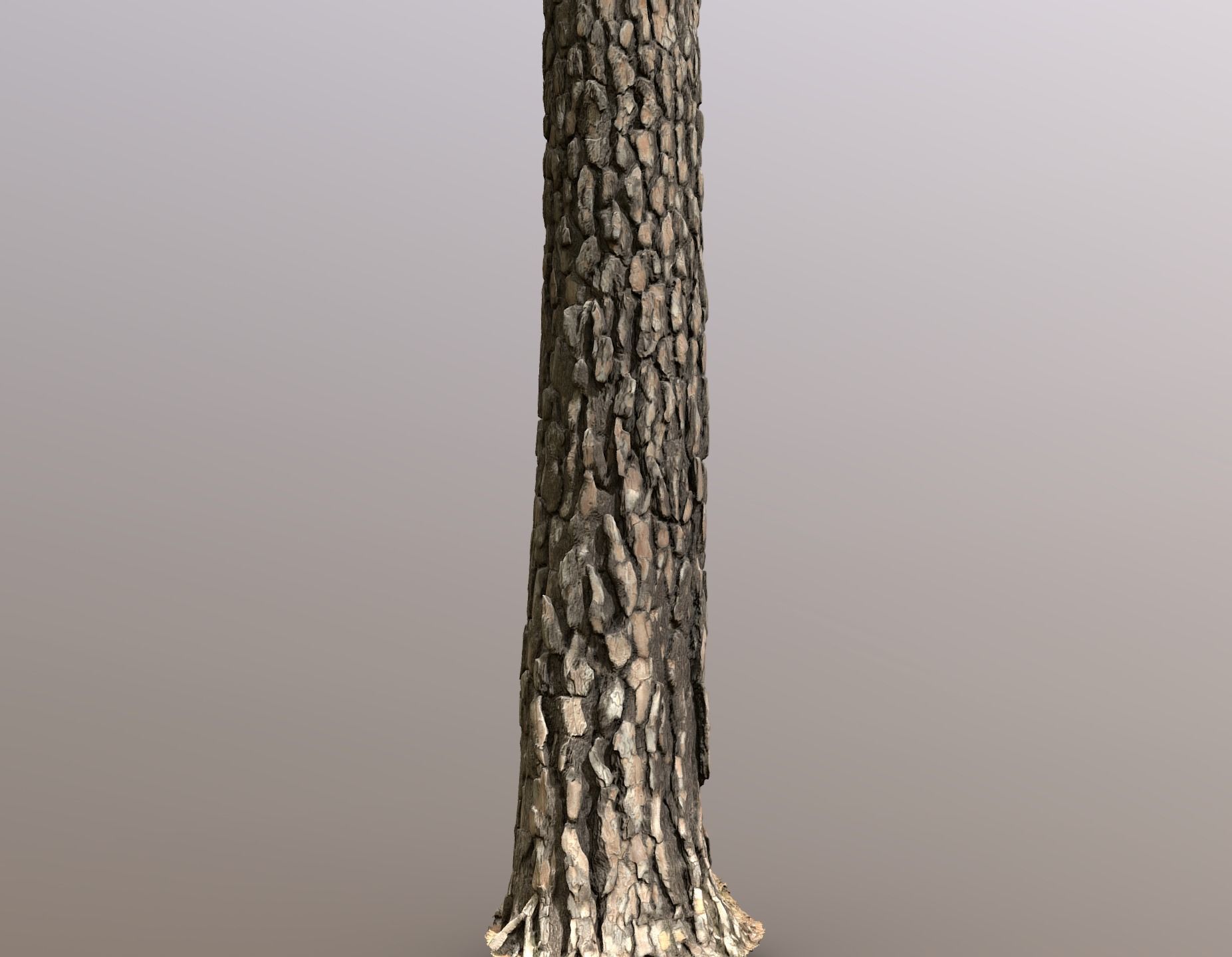 Pine Tree Trunk Low-poly 3D model_13