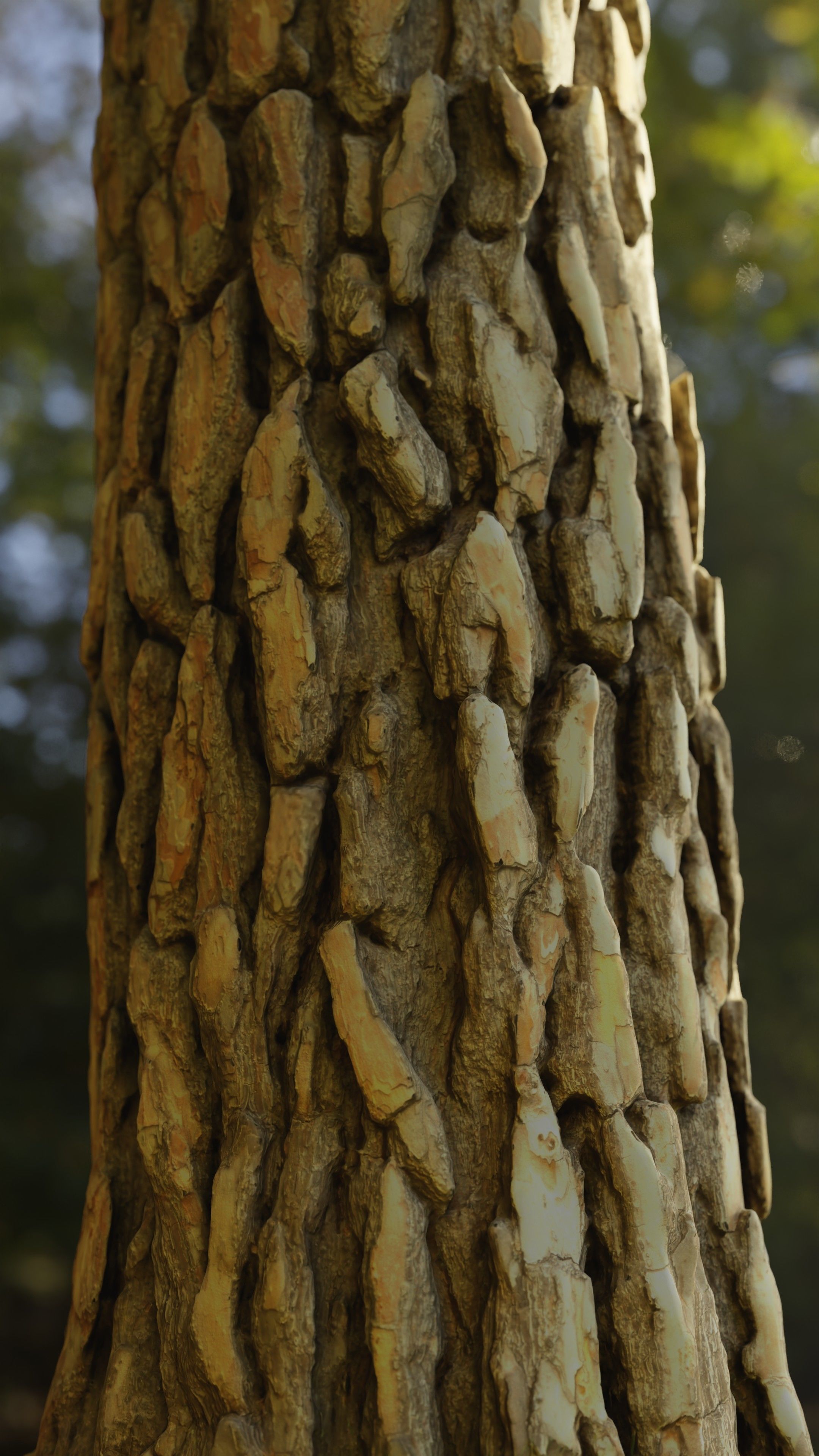 Pine Tree Trunk Low-poly 3D model_4
