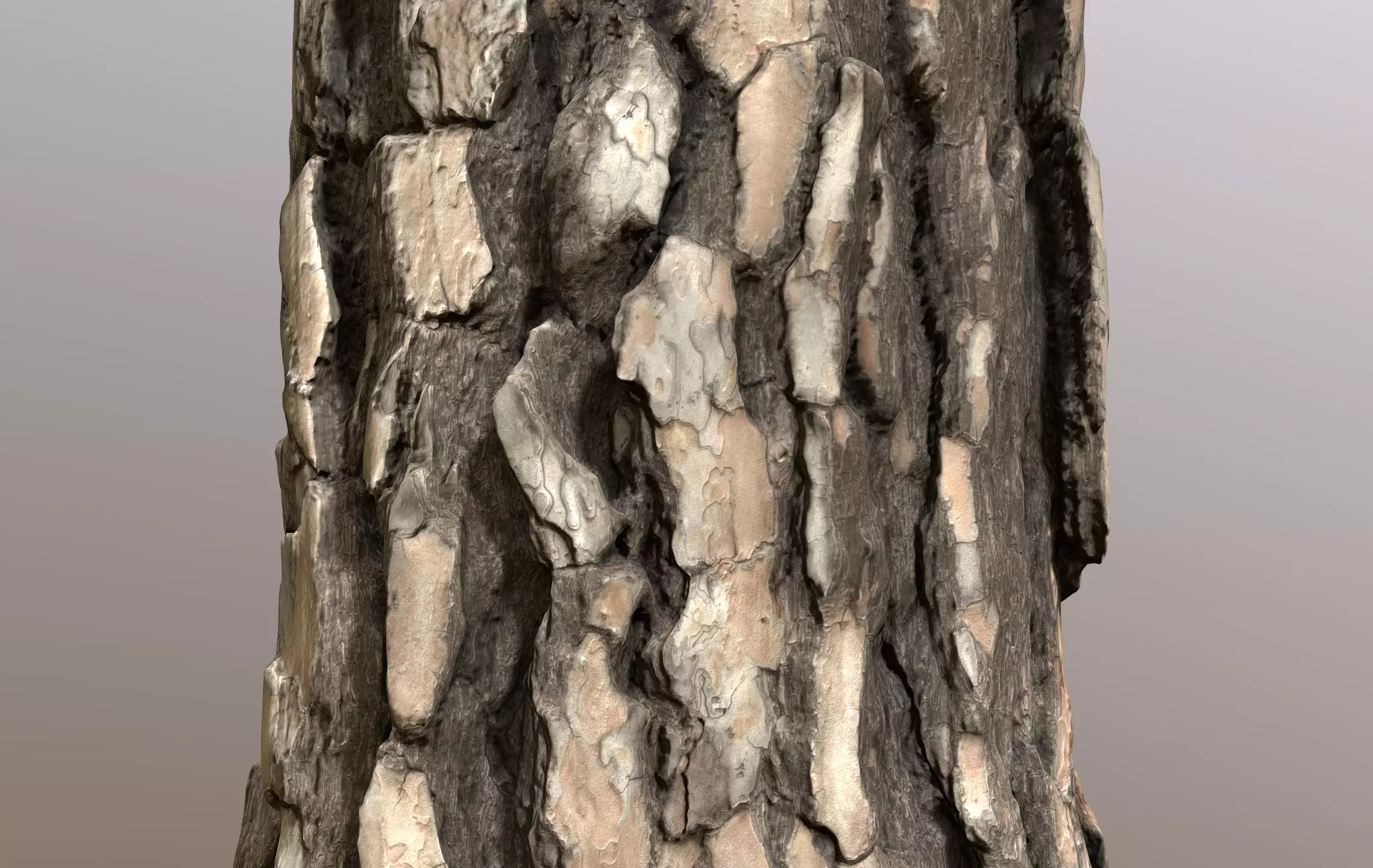 Pine Tree Trunk Low-poly 3D model_0