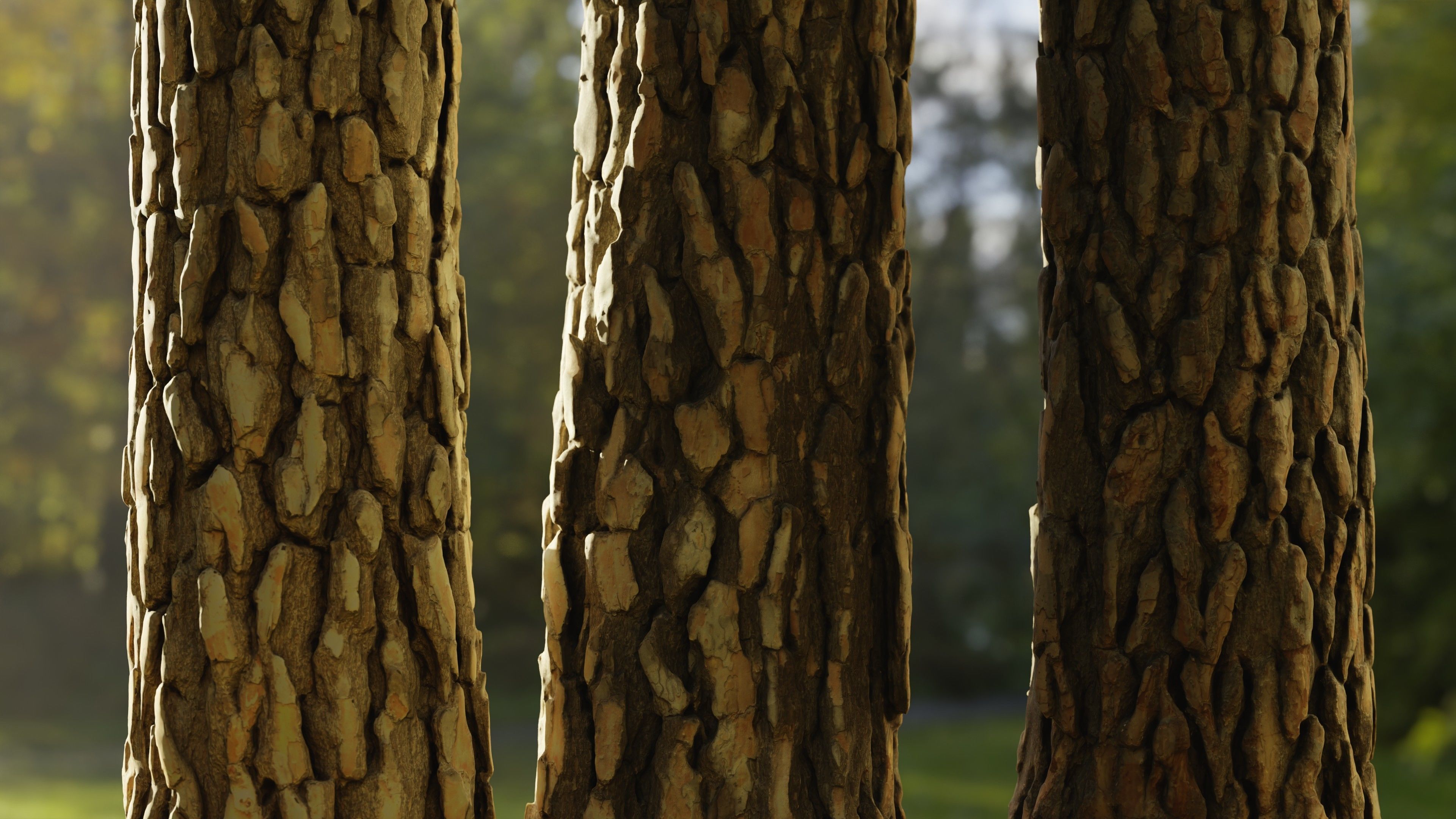 Pine Tree Trunk Low-poly 3D model_2