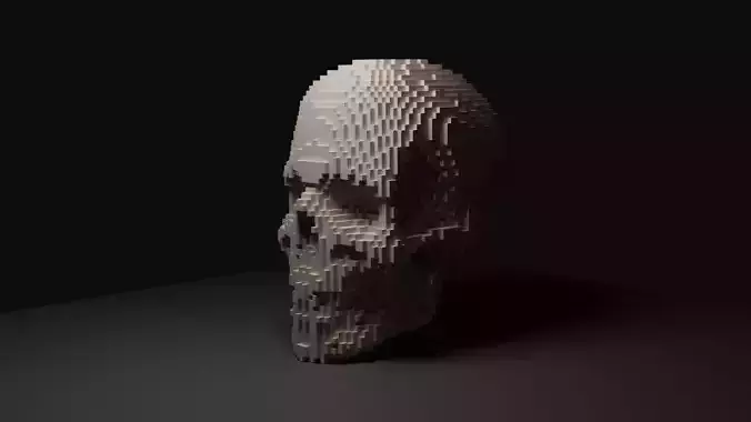 Voxel Skull