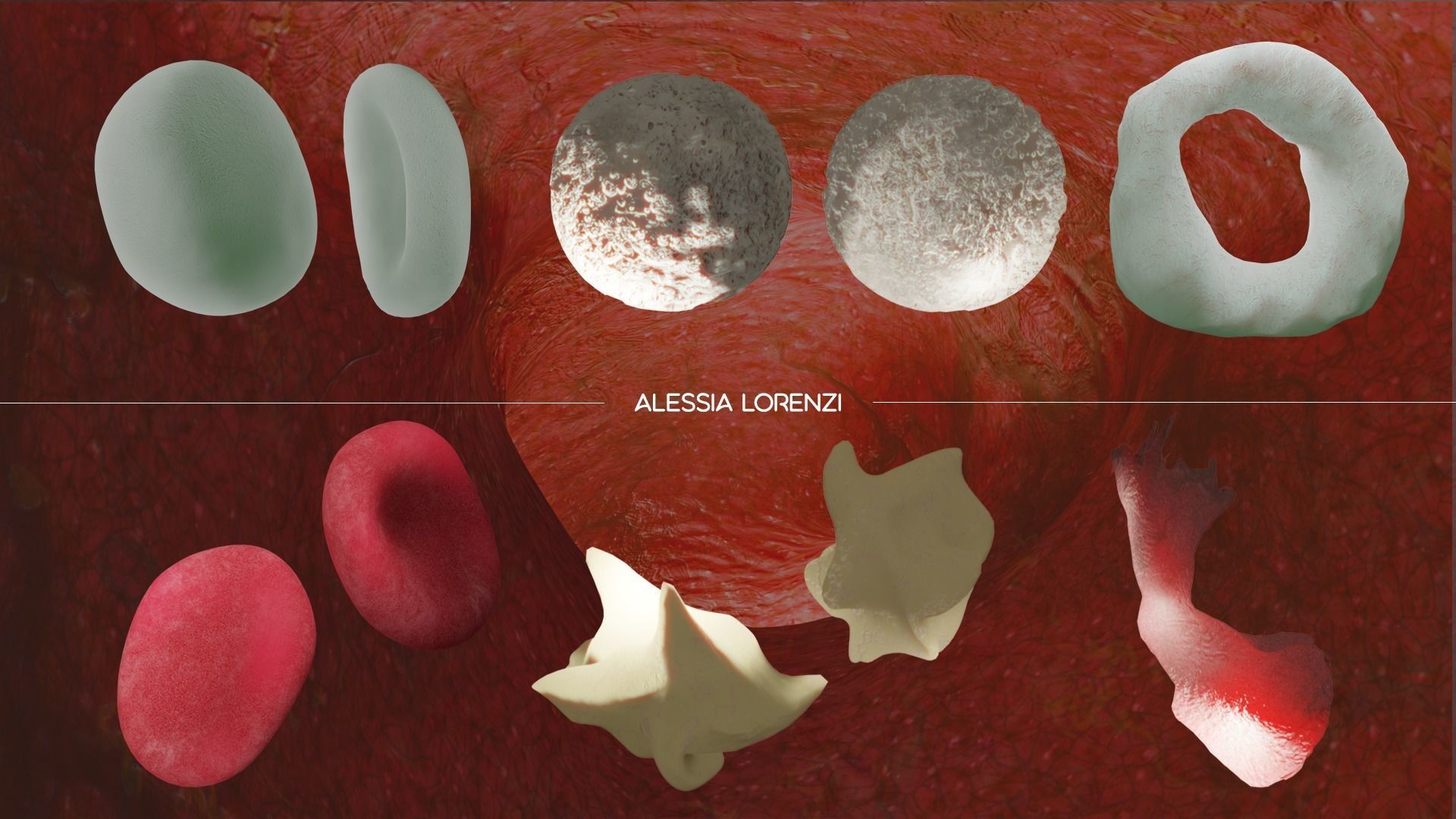 blood inside veins professional set 3D model_6