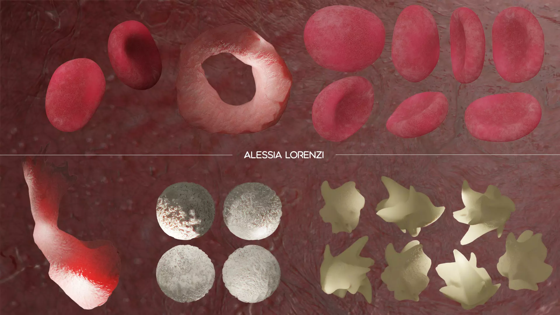 blood inside veins professional set 3D model_0