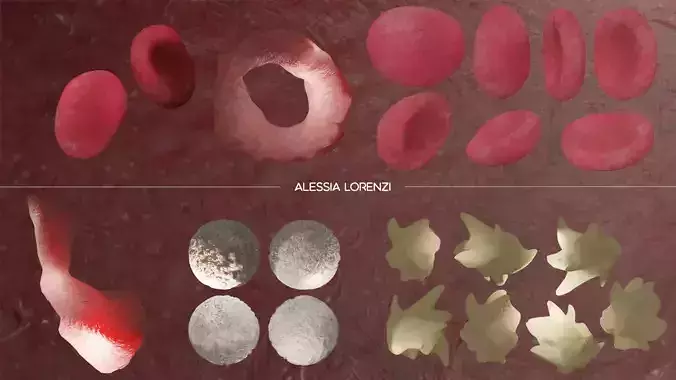 blood inside veins professional set 3D model