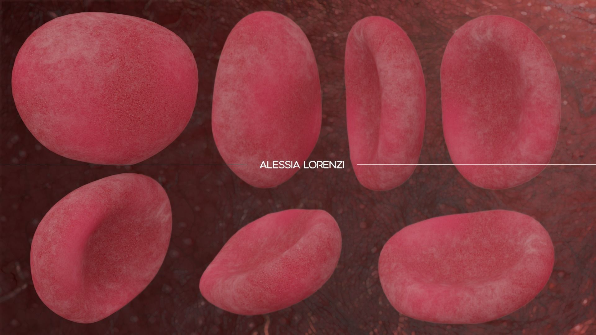 blood inside veins professional set 3D model_4