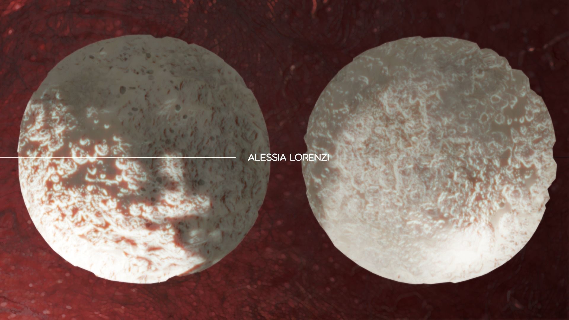 blood inside veins professional set 3D model_5