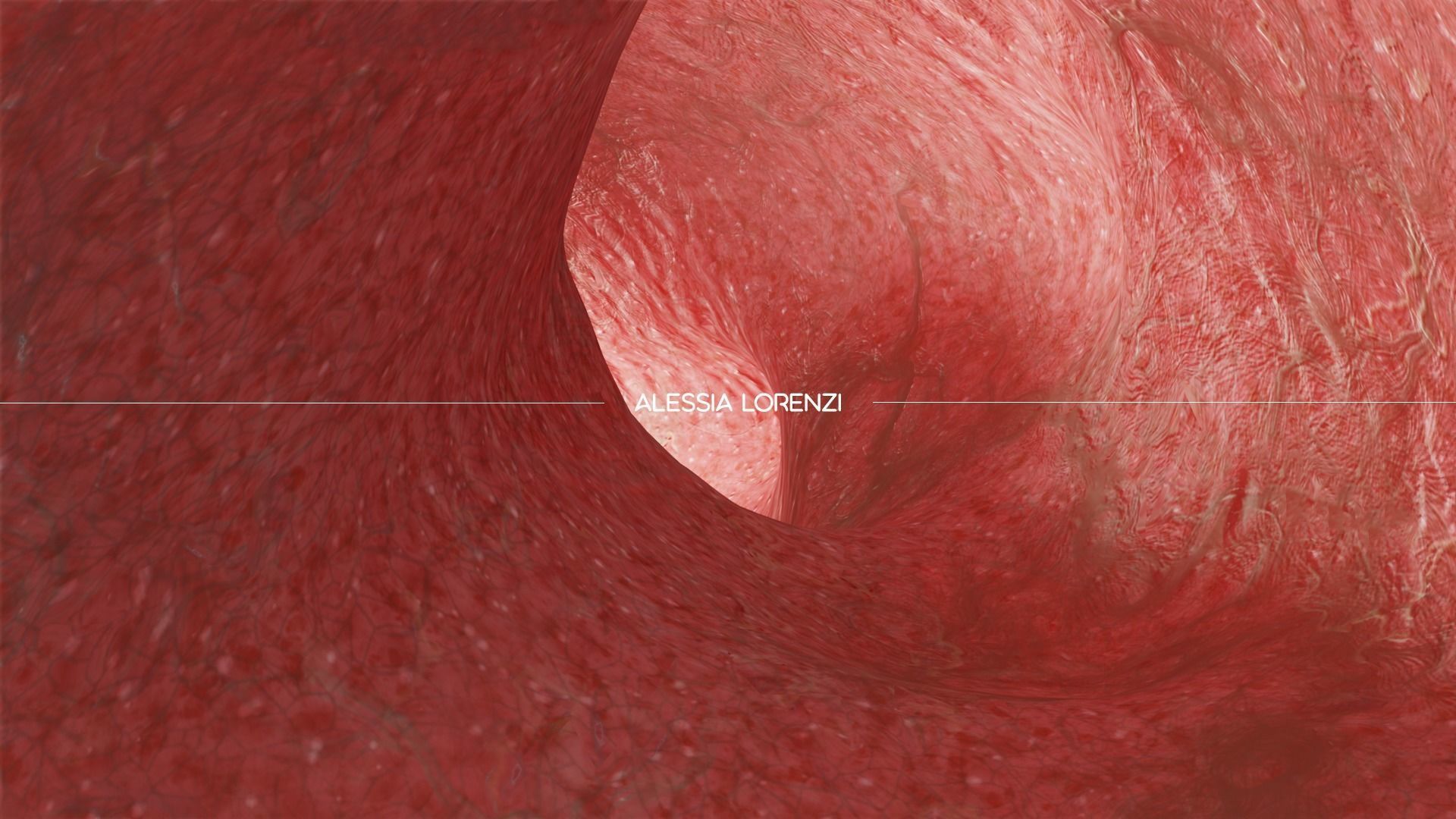 inside an arterial cave PRO PACK Low-poly 3D model_4