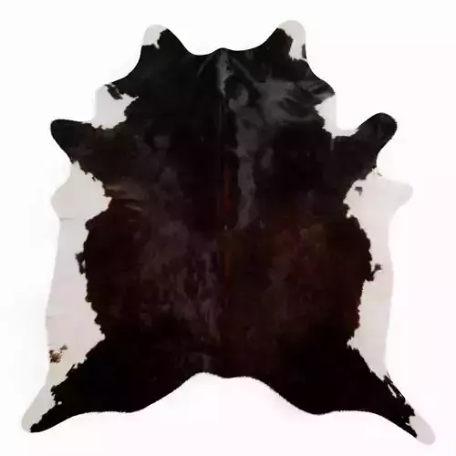 Brown And White Cowhide Rug 3D model