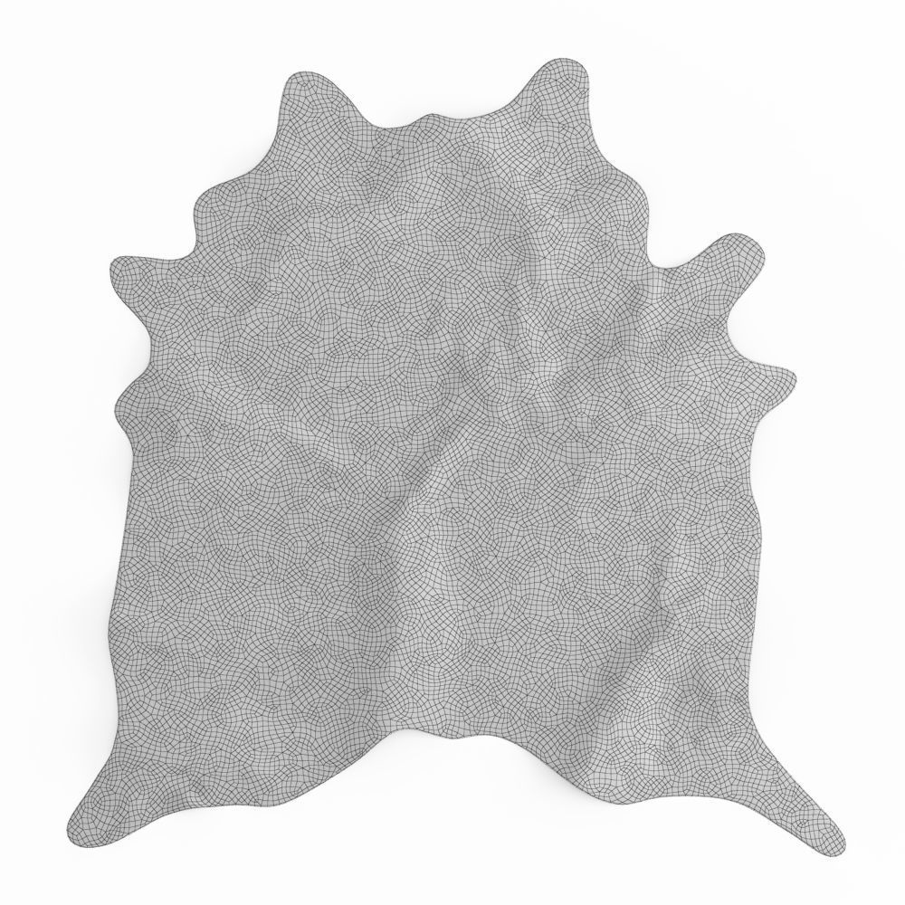 Brown And White Cowhide Rug 3D model_4