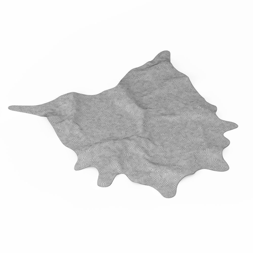 Brown And White Cowhide Rug 3D model_5