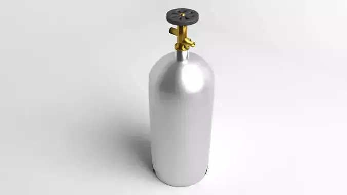 Gas Tank Cylinder 10 Pound