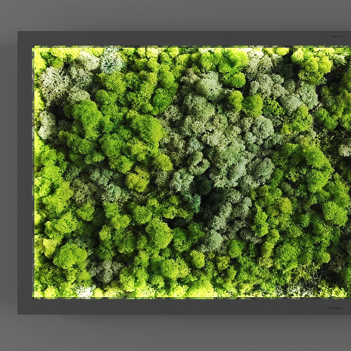 Vertical garden 59 Low-poly 3D model_1