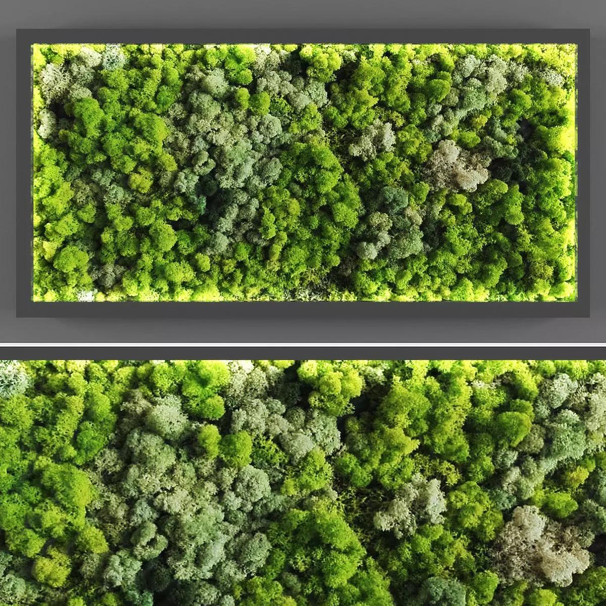 Vertical garden 59 Low-poly 3D model_0