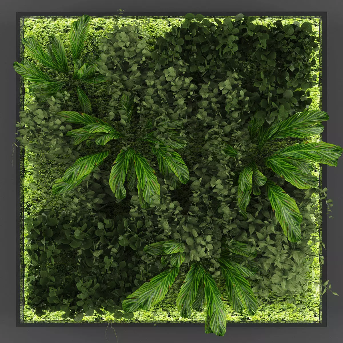 Vertical garden 75 Low-poly 3D model