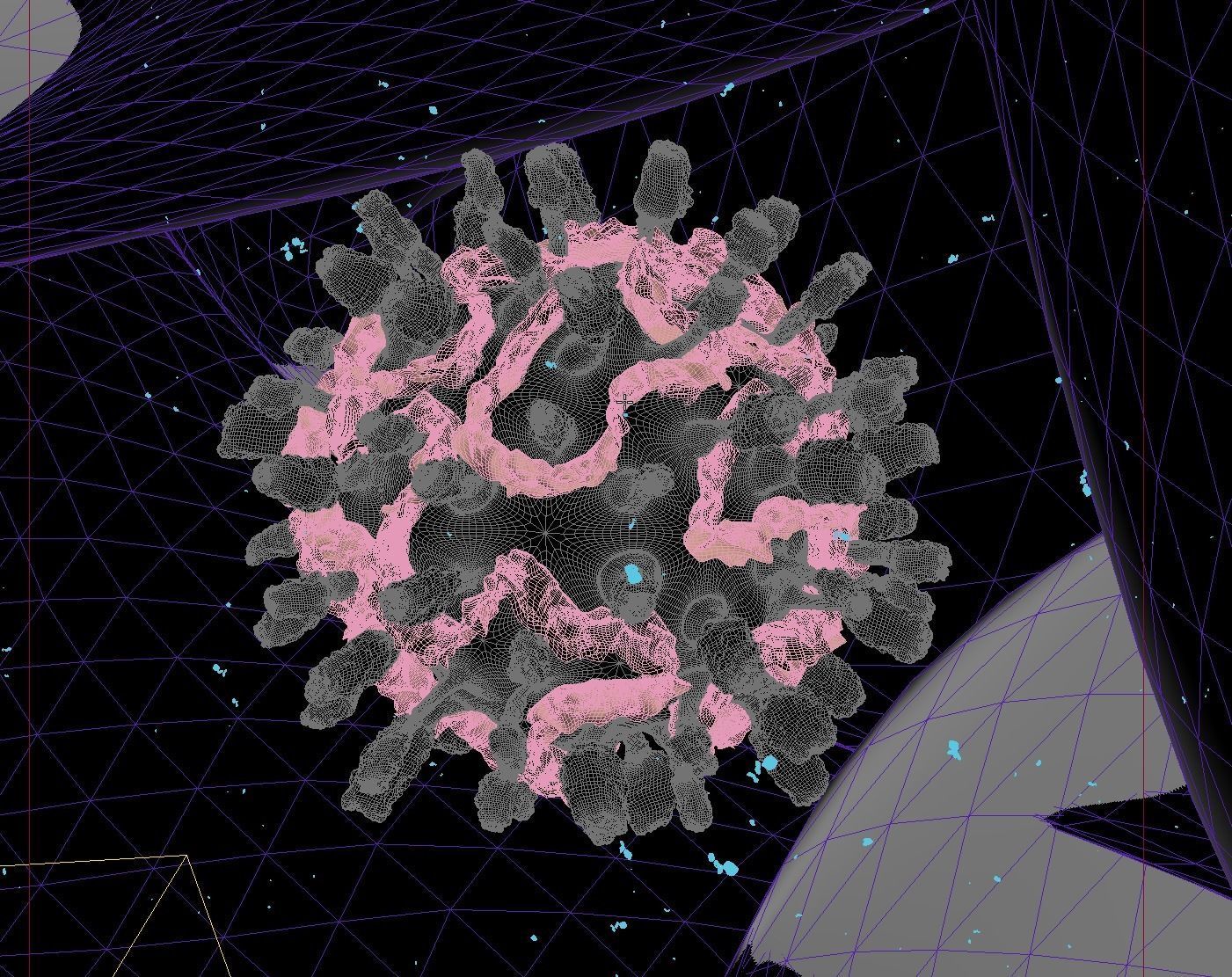 Corona virus covid 19 20 animated 3d model realistic render 3D model_5