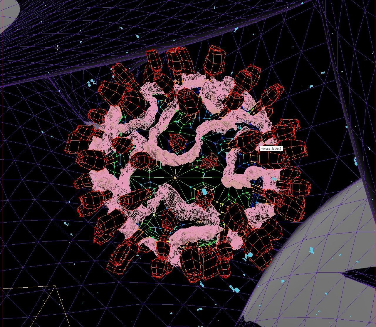 Corona virus covid 19 20 animated 3d model realistic render 3D model_6