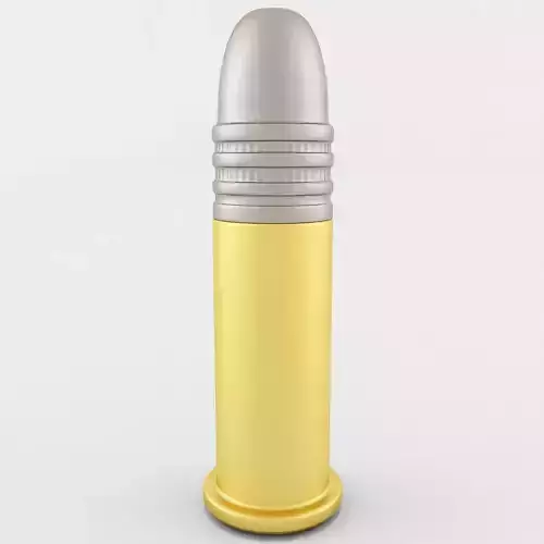 22 Long Rifle Cartridge
