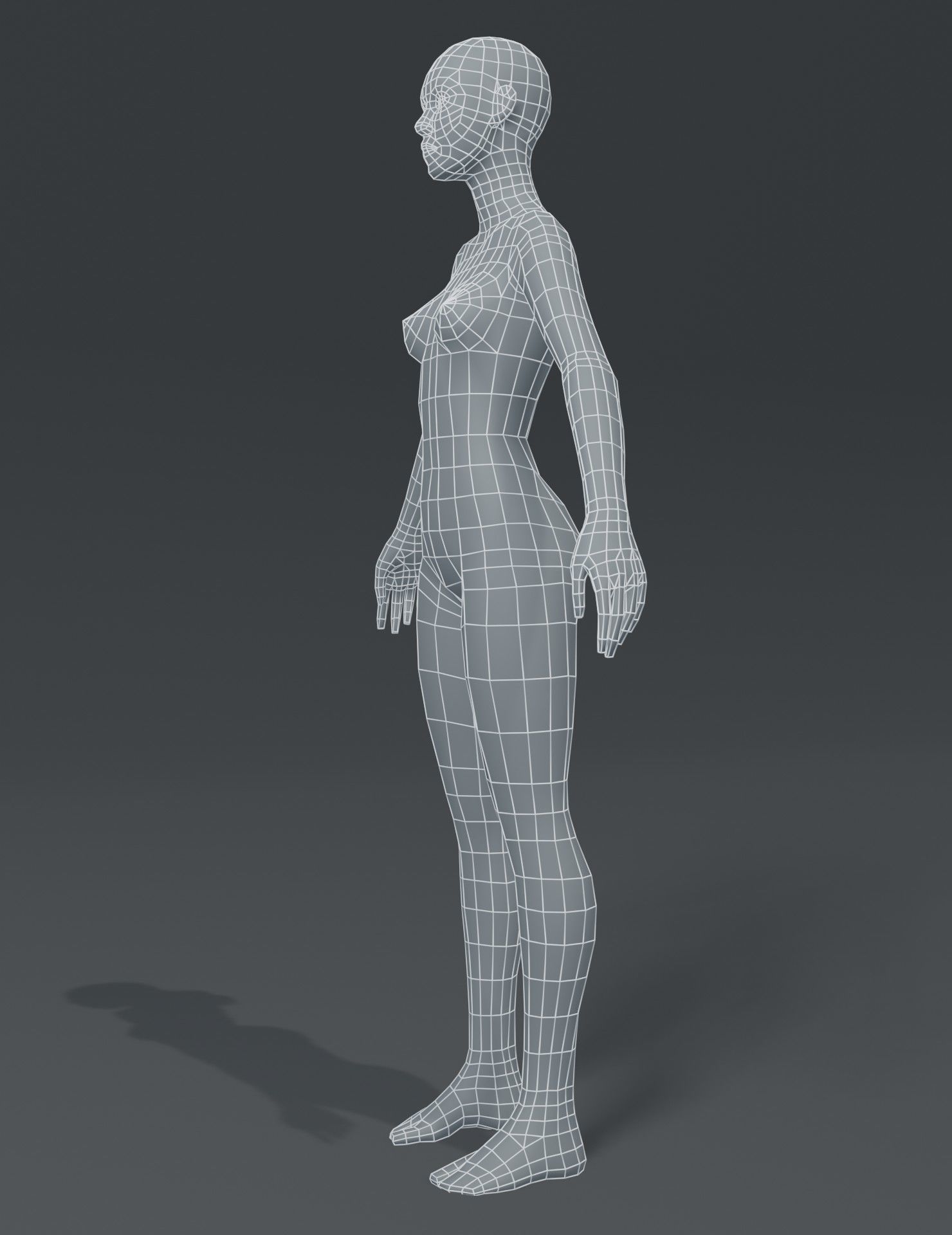 Human Body Base Mesh 3D Model Family Pack Low-poly 3D model_24
