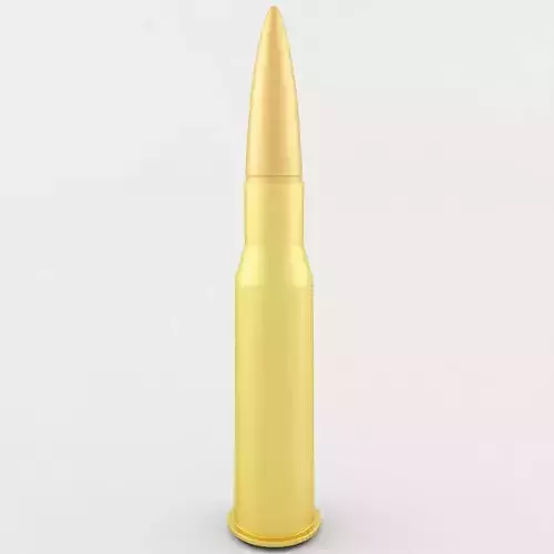 7 62x54R Cartridge