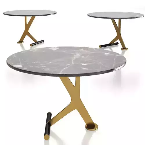 Ulivi Salotti ROXANE LARGE COFFEE TABLE 3d model