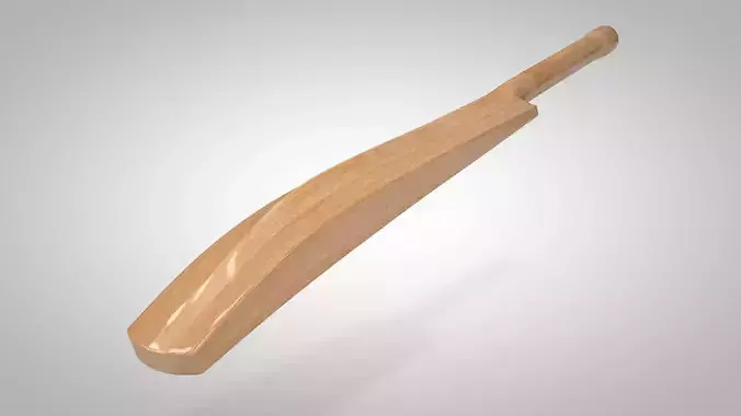 Cricket Bat Low-poly 3D model