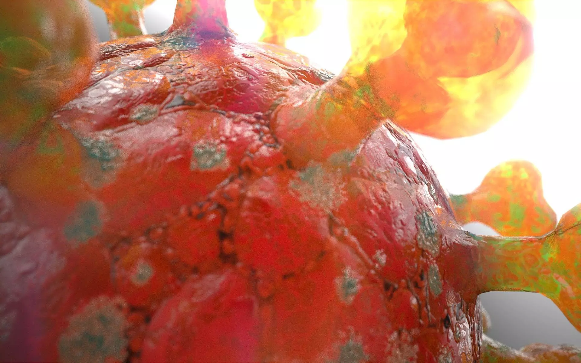 COVID-19  SARS-COV-2   Coronavirus   3D model_0