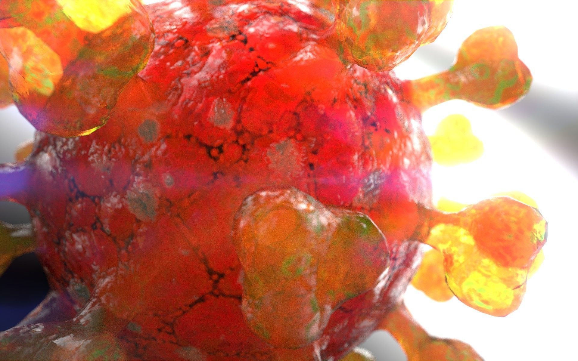 COVID-19  SARS-COV-2   Coronavirus   3D model_3